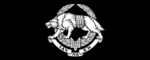 Сили спеціальних операцій ЗСУ